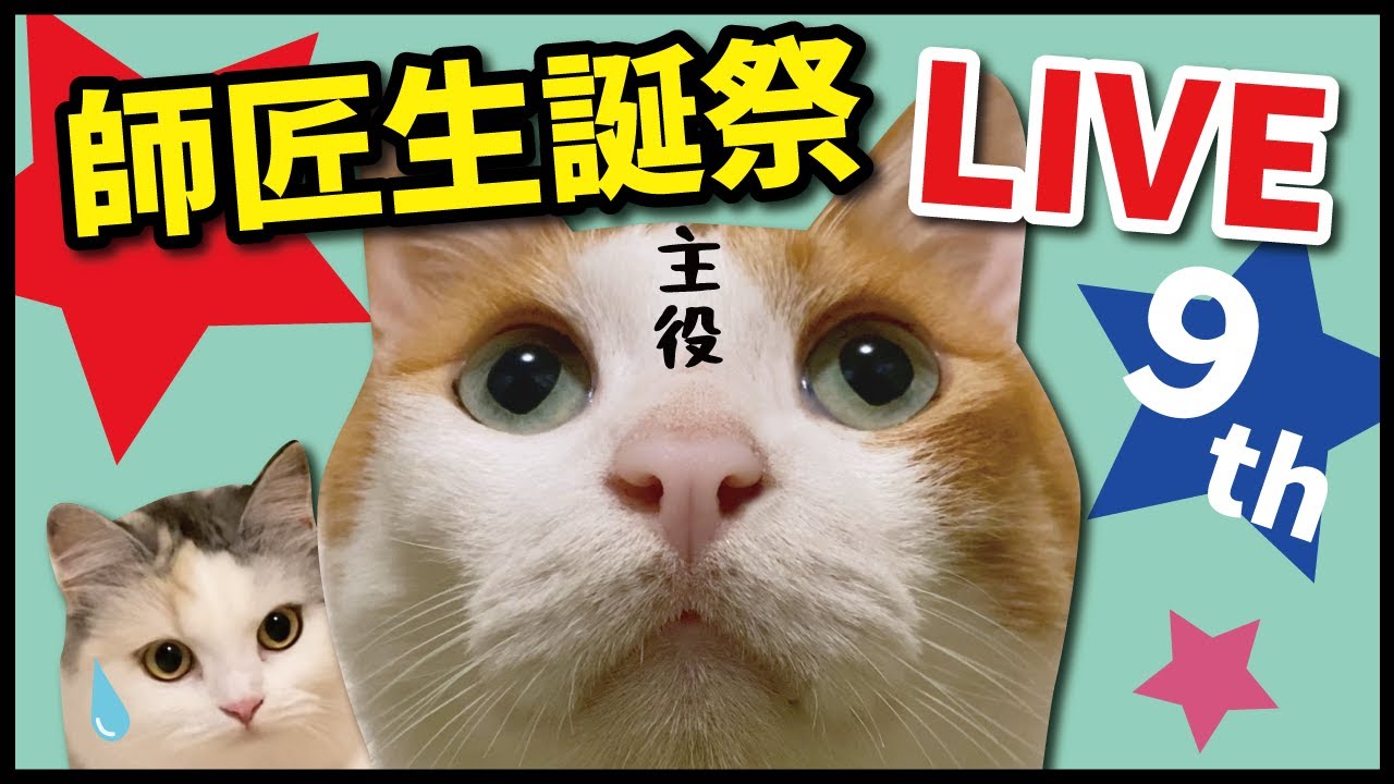 🌸祝🌸師匠９歳の誕生日おめでとやでライブ！！【関西弁でしゃべる猫】