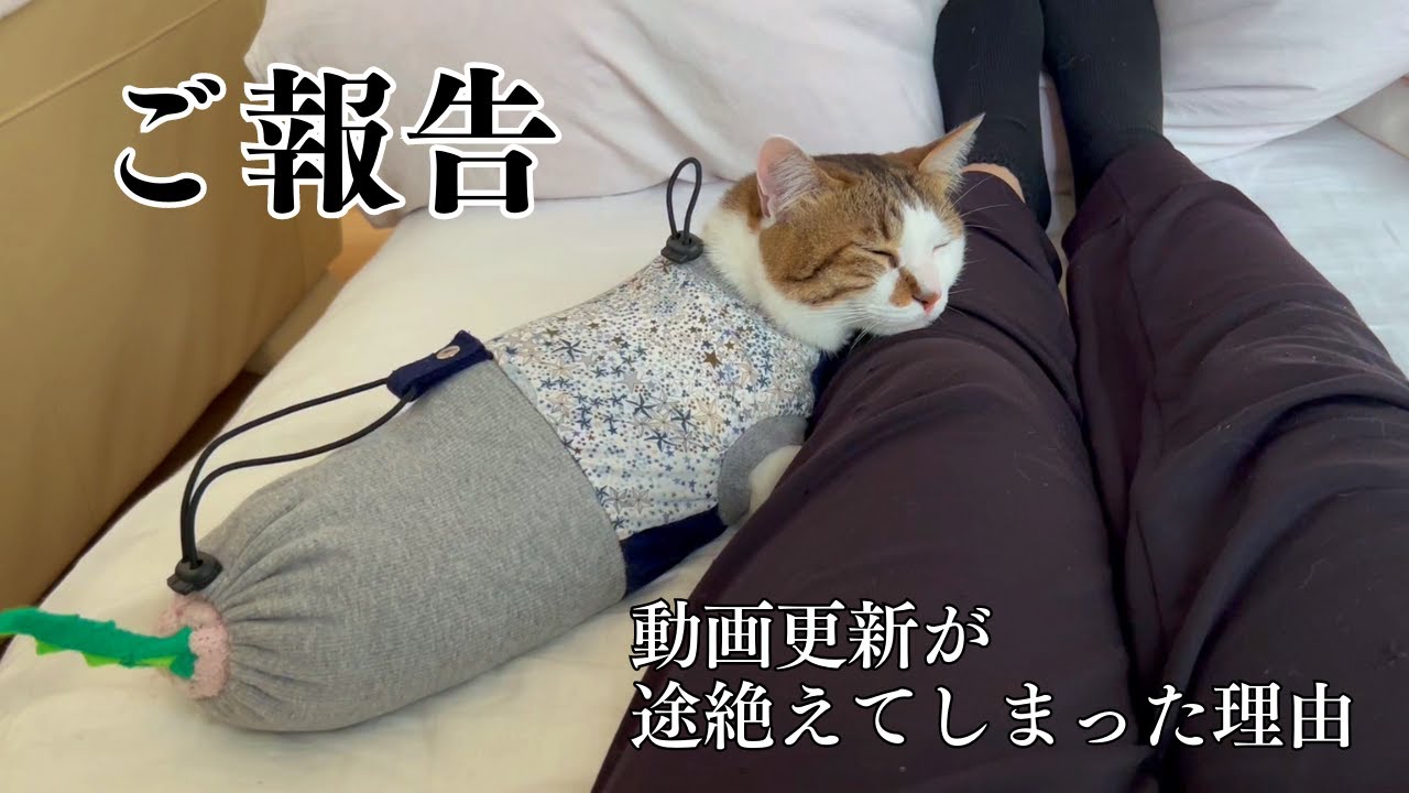 【ご報告】3ヶ月以上エースとおむすびさんの動画の更新ができなかった理由