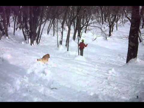 ｽﾉｰｼｭｰ1.wmv