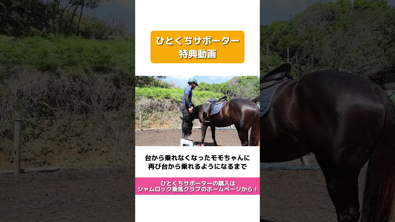 ひとくちサポーター限定「台から乗れなくなったモモちゃんに再び台から乗れるようになるまで」【Short ver.】