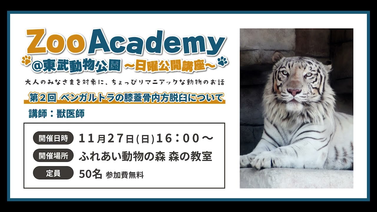 Zoo Academy ＠東武動物公園　第2回ベンガルトラの膝蓋骨内方脱臼について