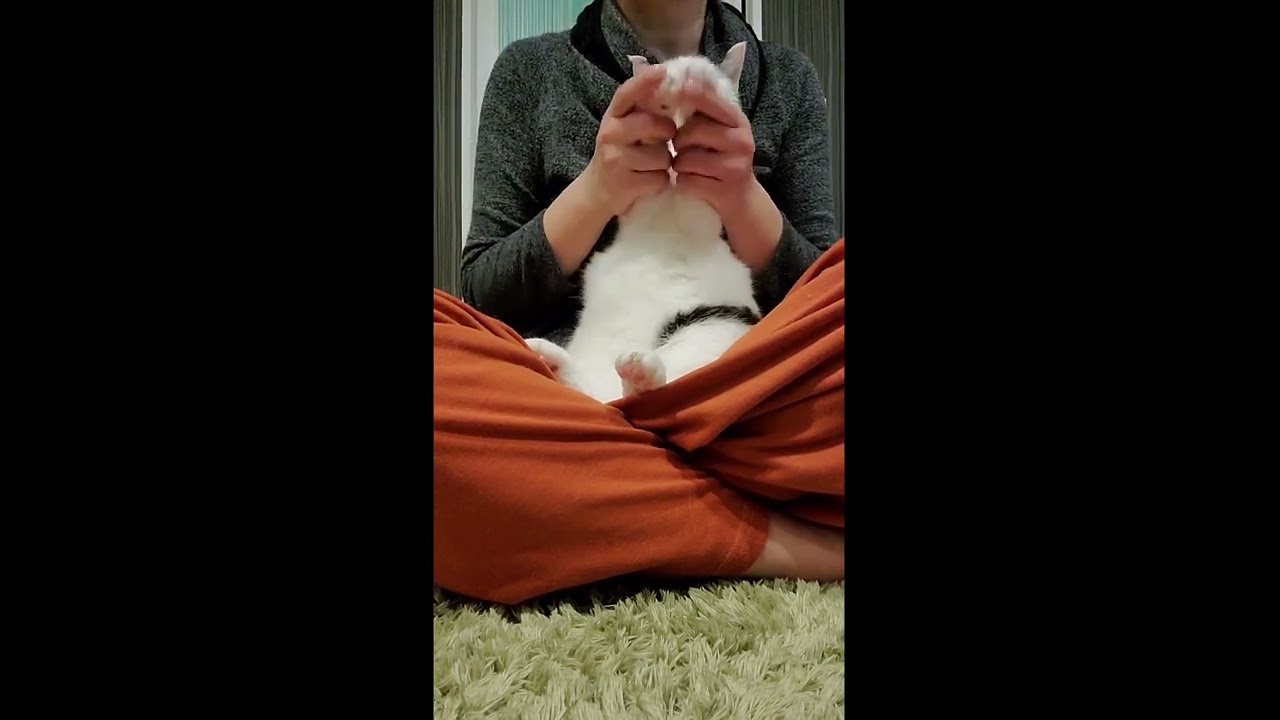 せっちゃんも！踊ってみた！！