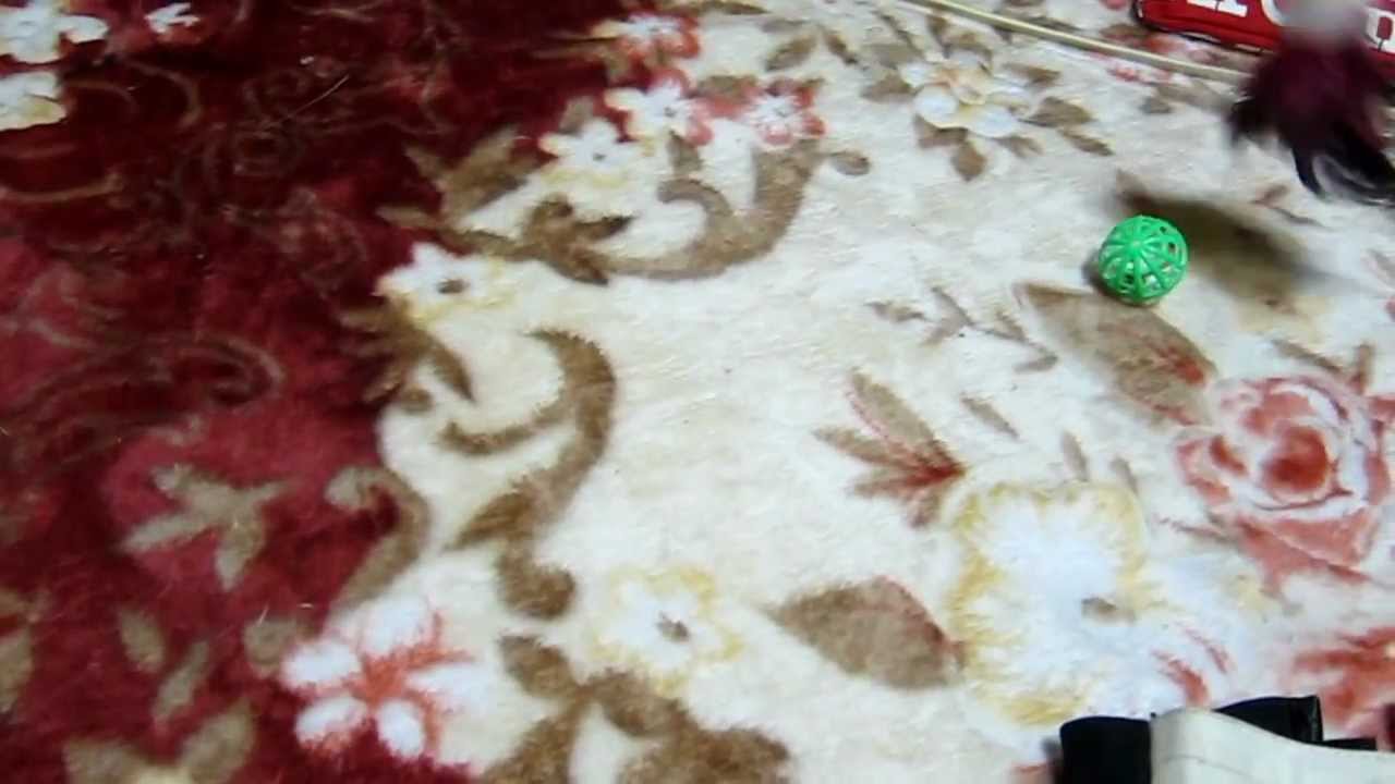 花音ちゃん、おもちゃで遊ぶ