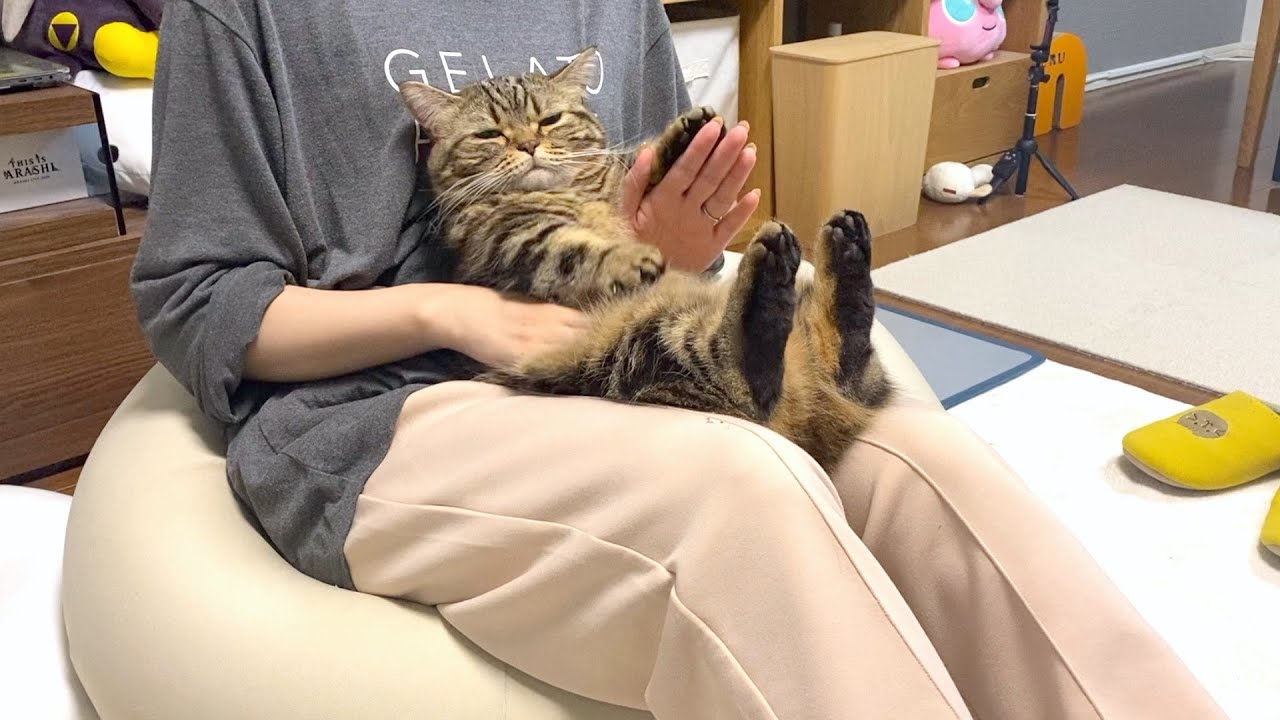 メル♪メル♪メルポンポン♪