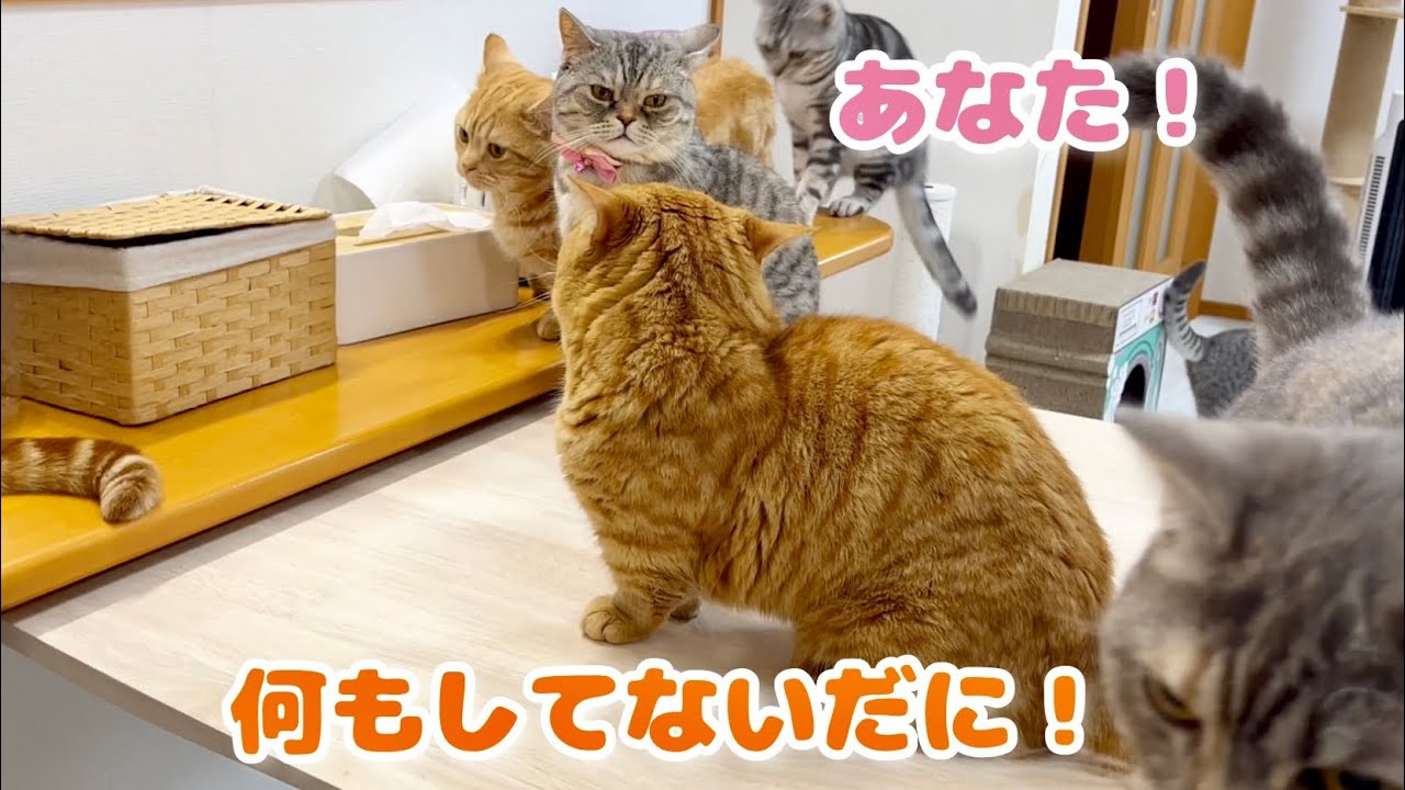 いろんなことが起きたスーパーごはんタイム！