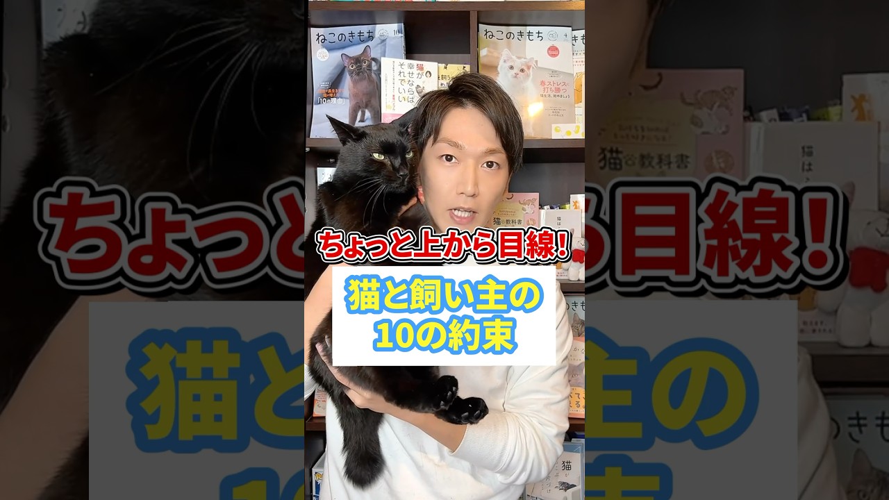 ちょっと上から目線！猫と飼い主の１０の約束