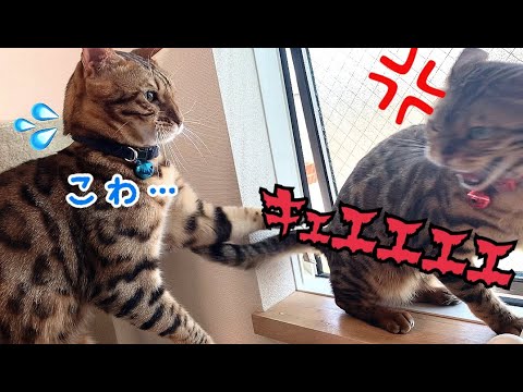 これぞ鬼嫁の形相…そして夫婦喧嘩へ…