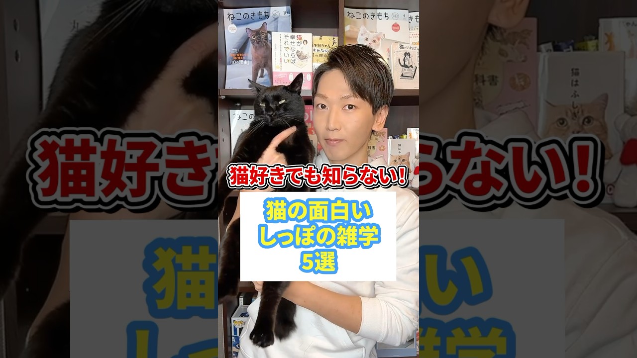 猫好きでも知らない！猫の面白いしっぽの雑学５選