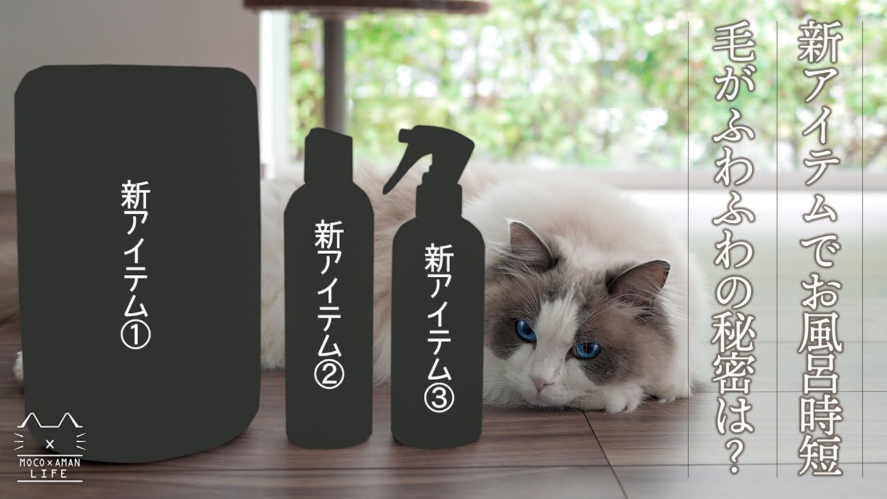 【猫初心者】新アイテムで猫のお風呂タイムを時短に!毛がふわふわの秘密は？