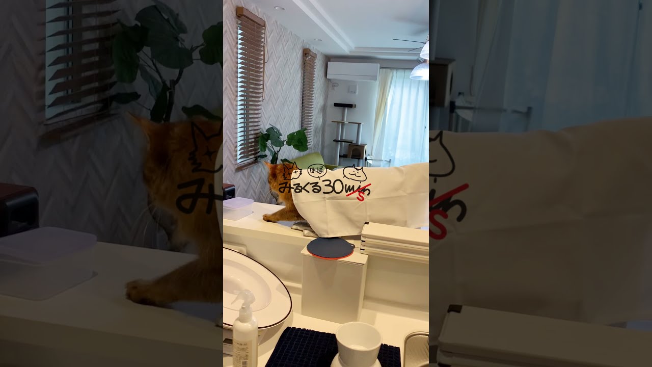 #106　白き衣まといしソマリ