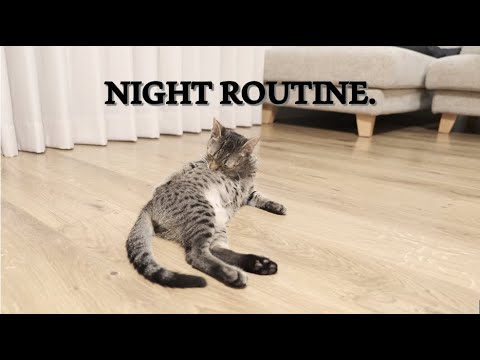 パウロのナイトルーティン/Paul's Night Routine【エジプシャンマウ】