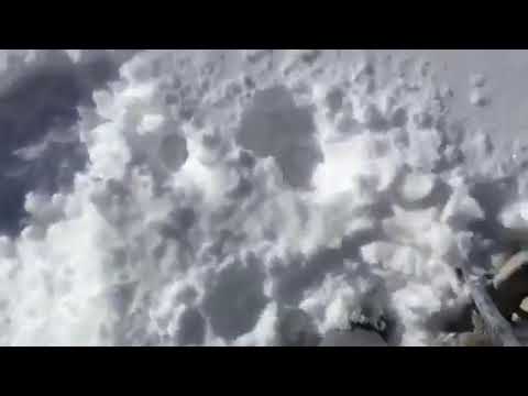 スノーシュー１