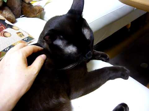 傍に居たいよ。