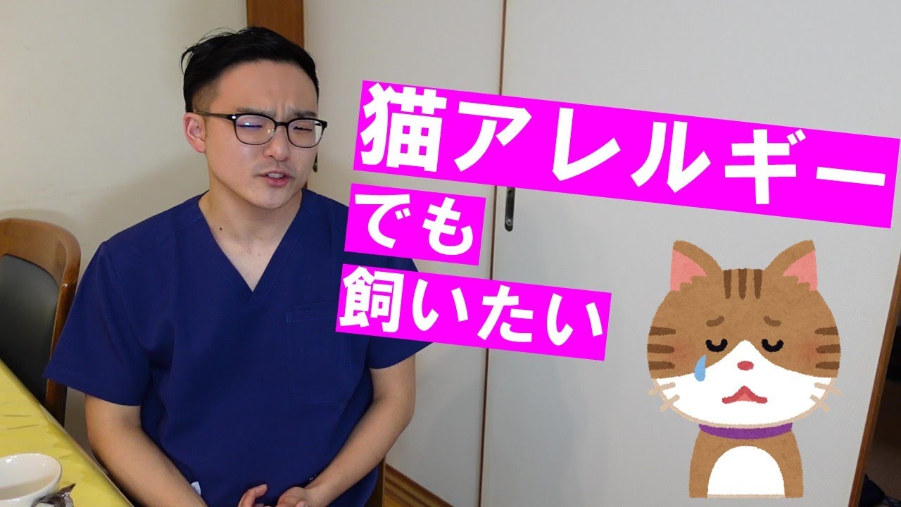 猫アレルギーの方必見！！！現在の対策法と未来の話を紹介します
