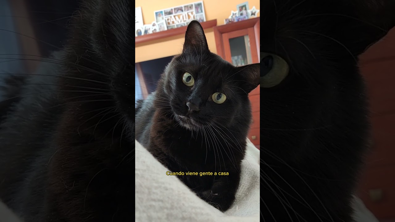 No puedes hacer eso Karen