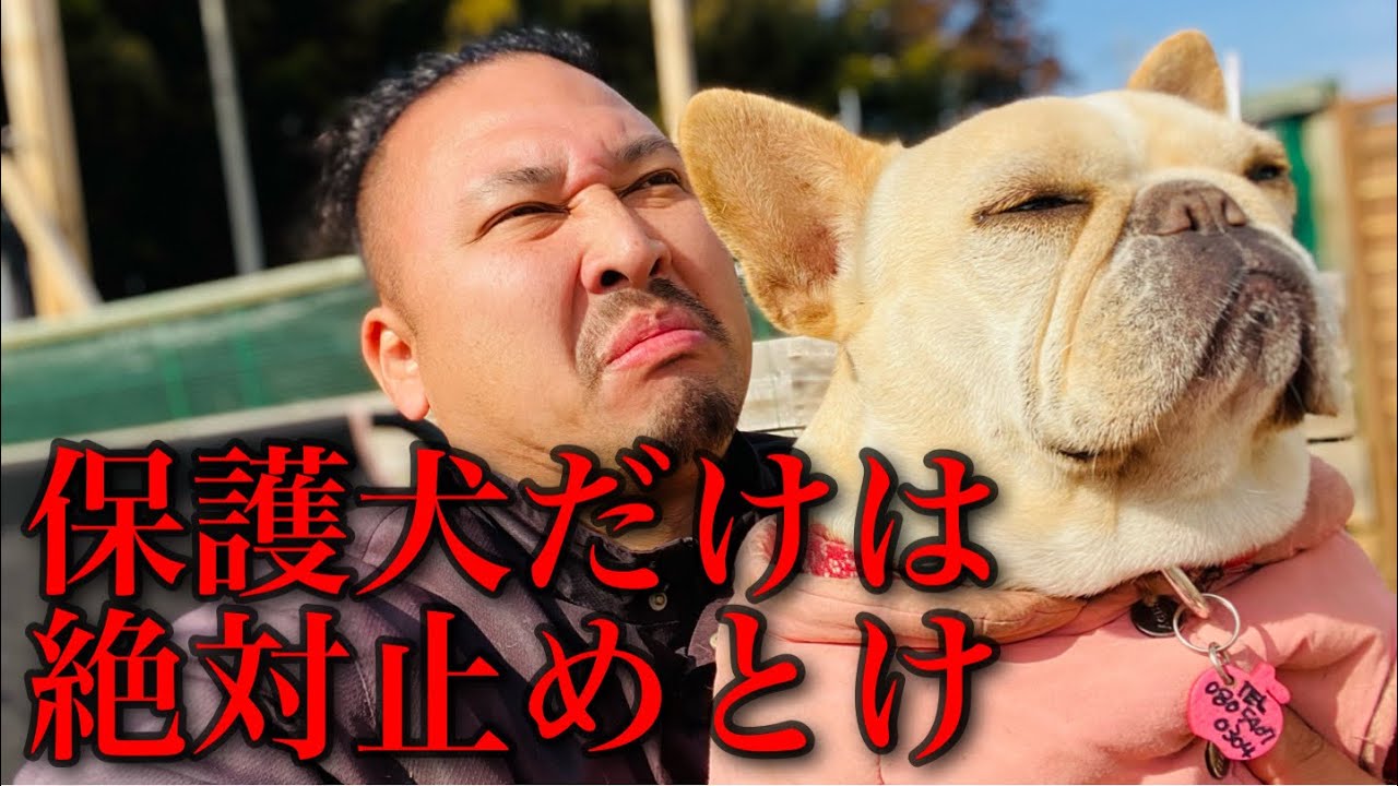 殺処分を待つ保護犬を引き取ってはいけない理由