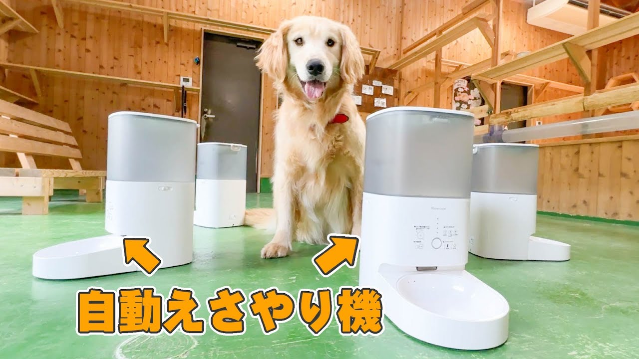 えさやり機を大量に設置したらリアクションが面白過ぎたww