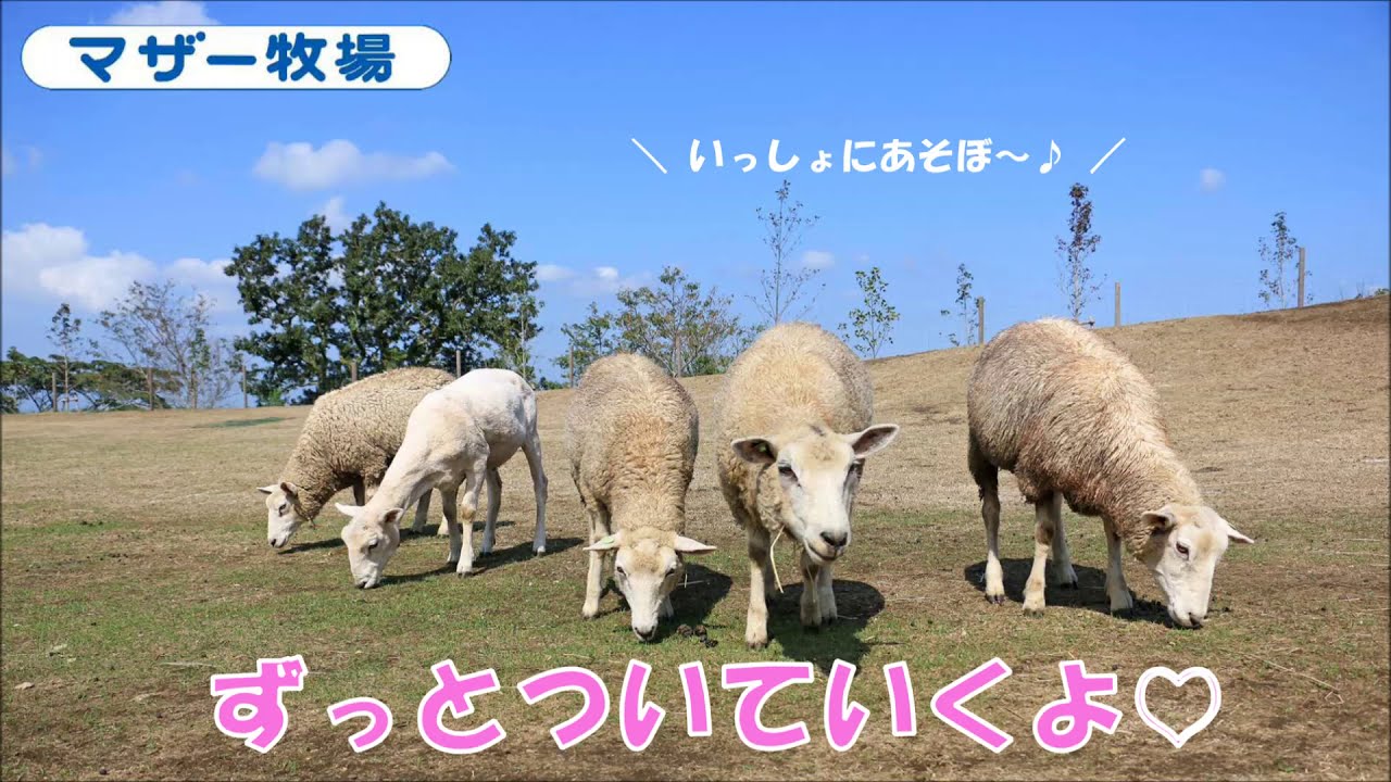 ずっとついていくよ♪