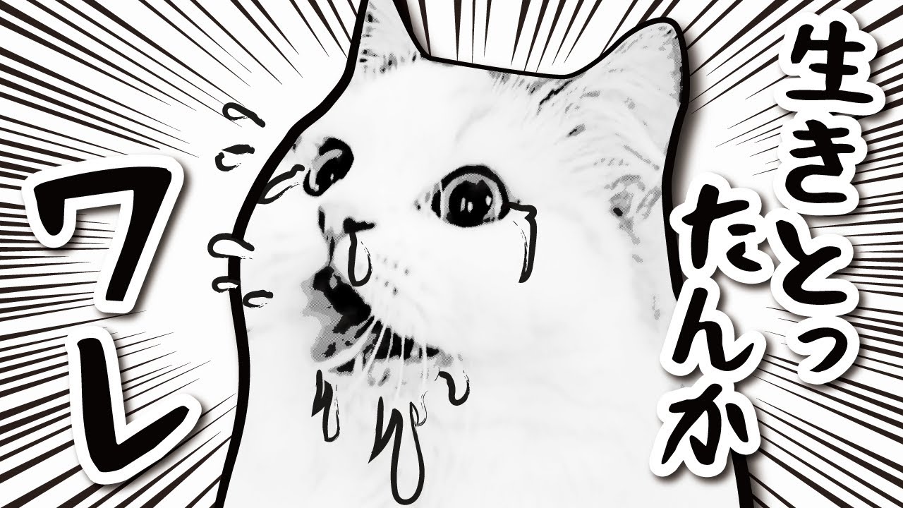 大好きだった「アレ」と再開した猫が死ぬほど喜んでました…！【関西弁でしゃべる猫】