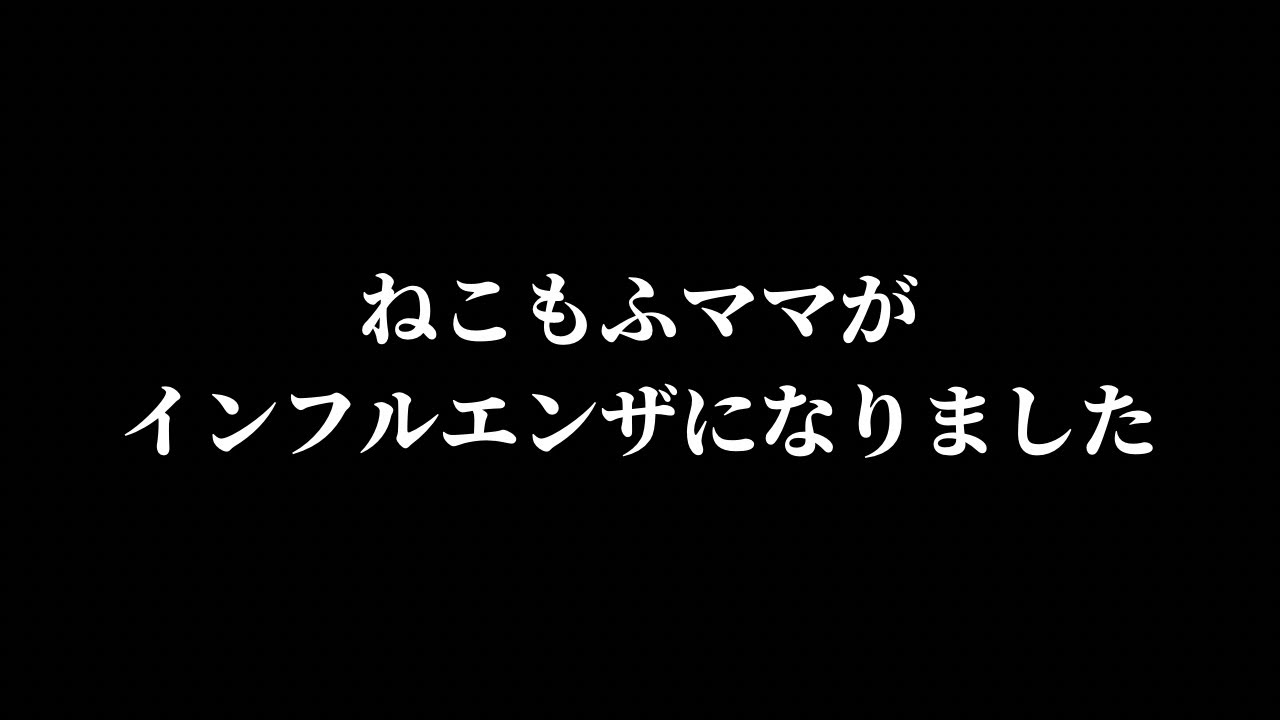 ママ（人間）がインフルエンザになりました。
