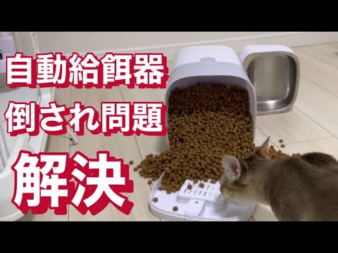 自動給餌器 倒されない方法  シンガプーラ