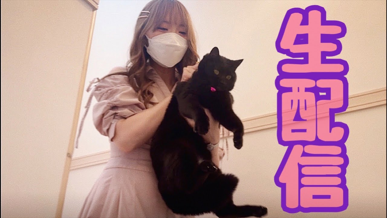 【生配信6/4】台風一過でむしむしする夜は猫でも見て過ごしませんか？生配信