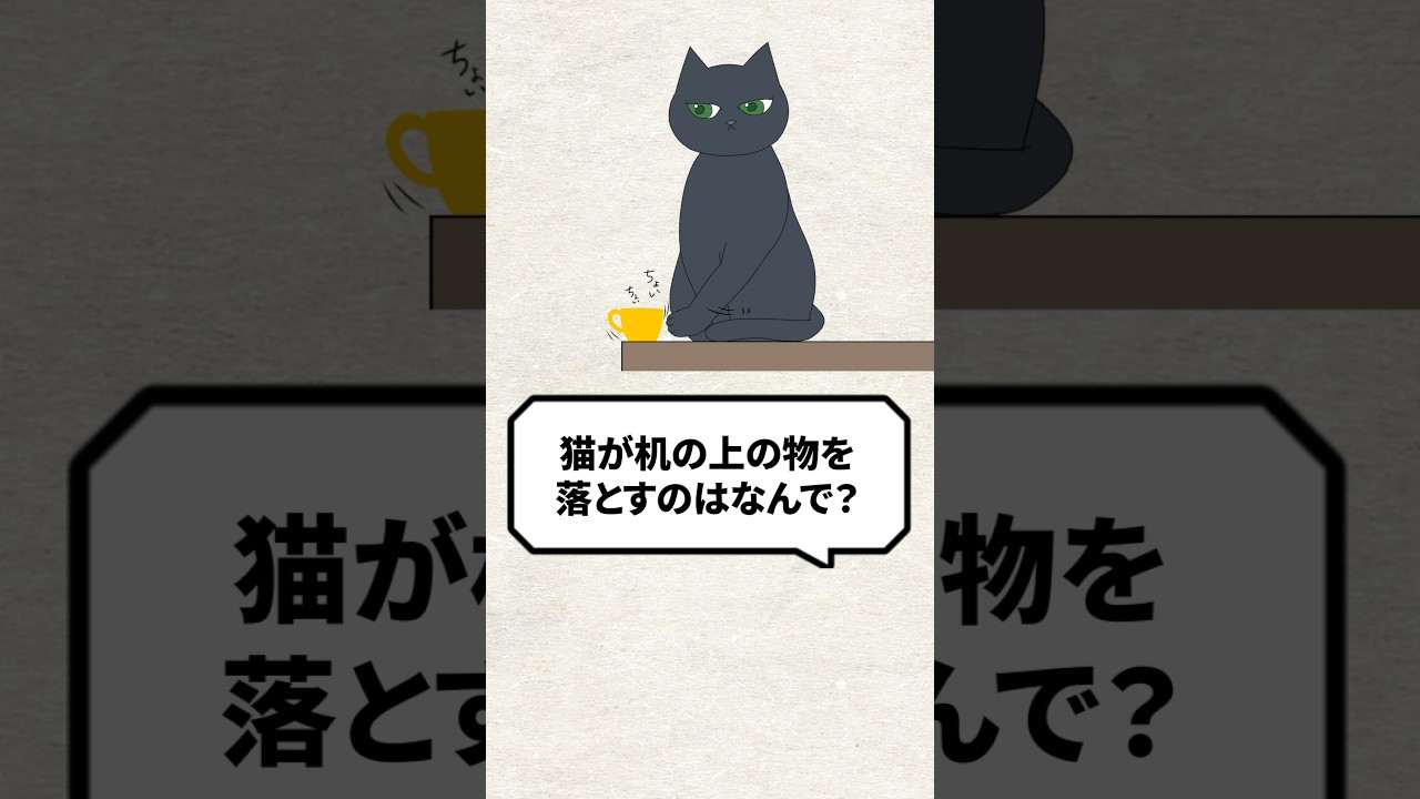 Q:猫が机の上の物を落とすのはなんで？