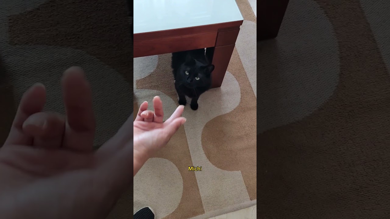 Karen ha desaparecido