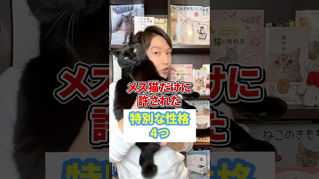 メス猫だけに許された特別な性格４つ