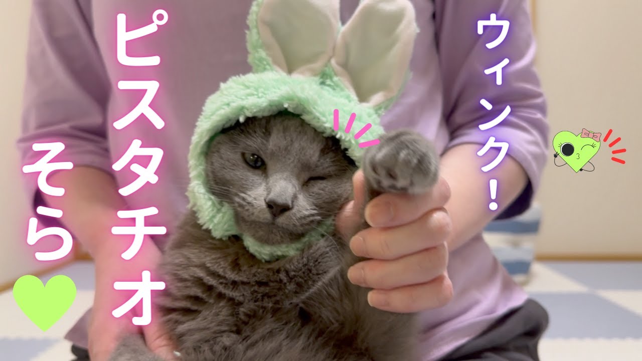 【購入品】「ねこねこねこ展」そらVer（ロシアンブルー）