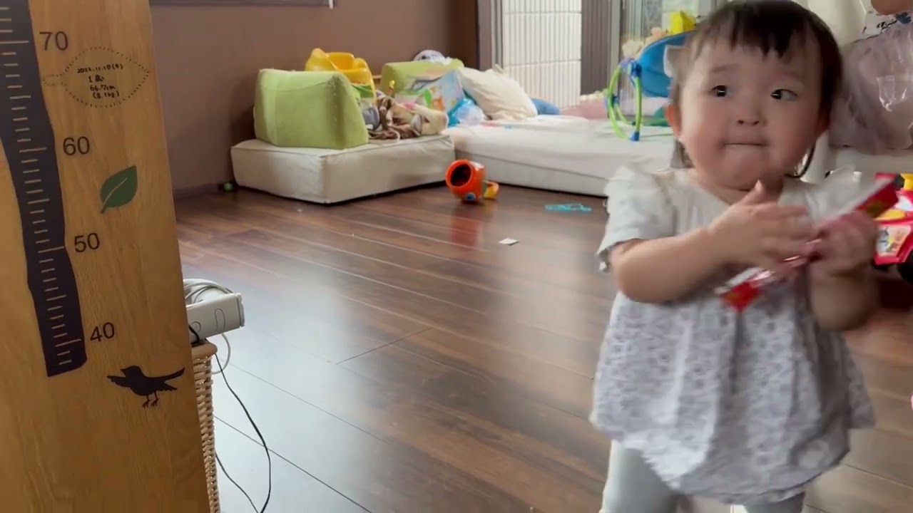 オヤツあげたい赤ちゃんに追いかけられる猫　ノルウェージャンフォレストキャット　ラガマフィンA cat with a baby who wants to give a snack.