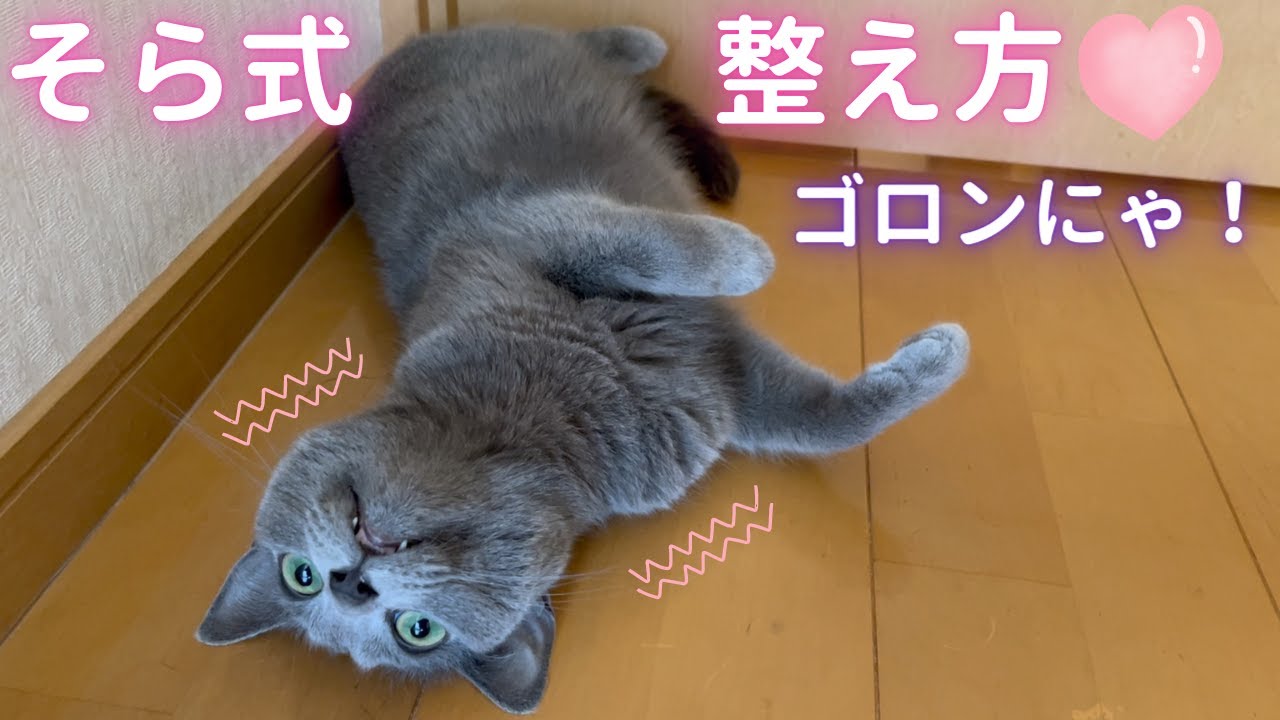 そら式 整え方〜初夏Ver〜（ロシアンブルー）