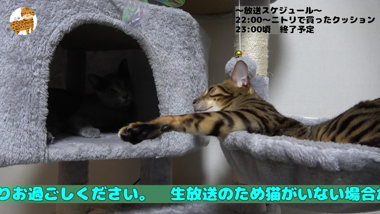 6/7 しょーくんとなぎちゃんライブ