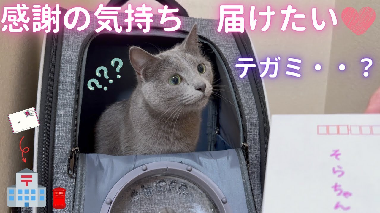 そら🐈‍⬛は小さな可愛い郵便屋さん（ロシアンブルー）