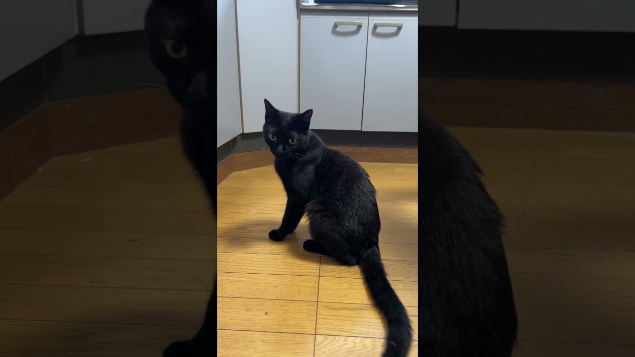 お返事上手！！！