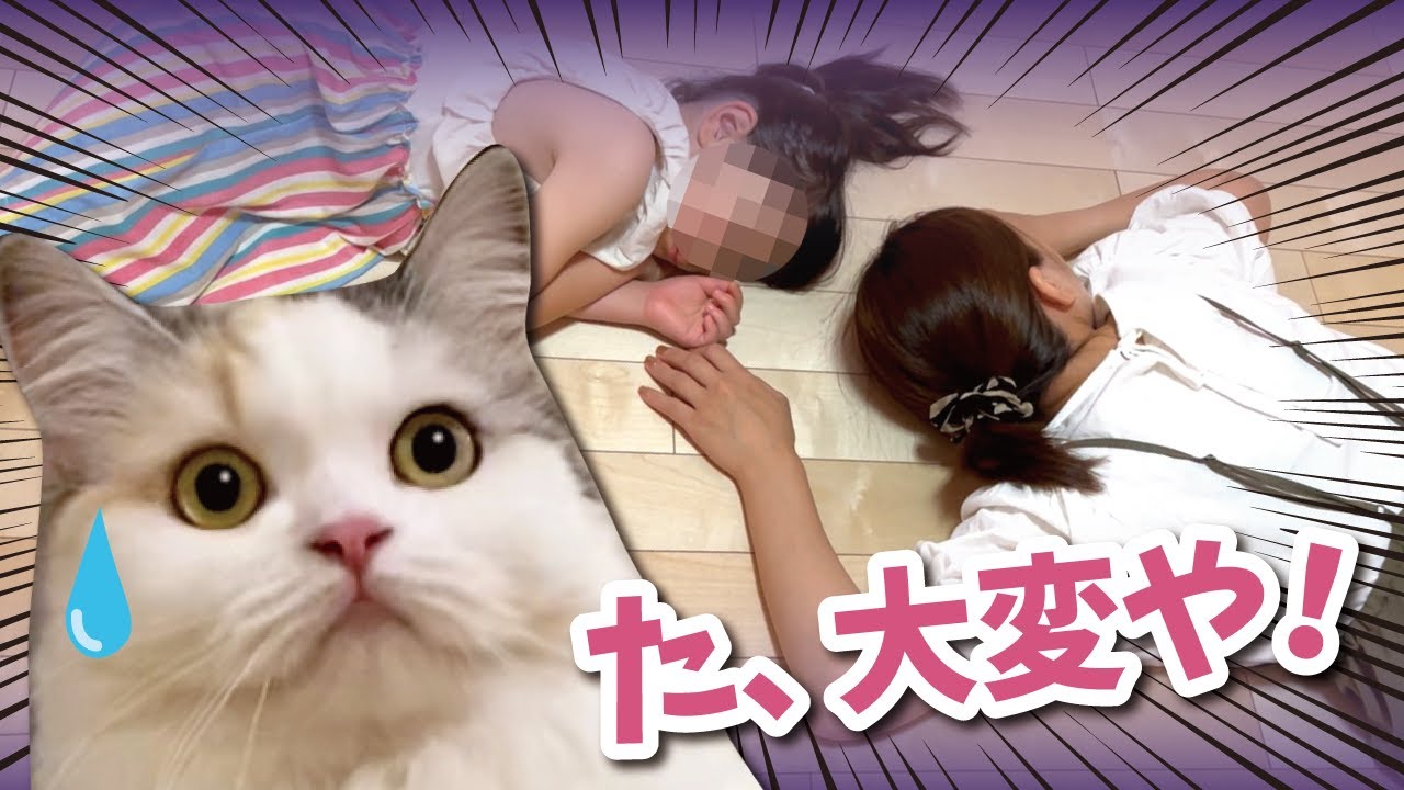 忙しすぎて倒れてしまった主婦と5歳の娘がまさかの展開に…【関西弁でしゃべる猫】
