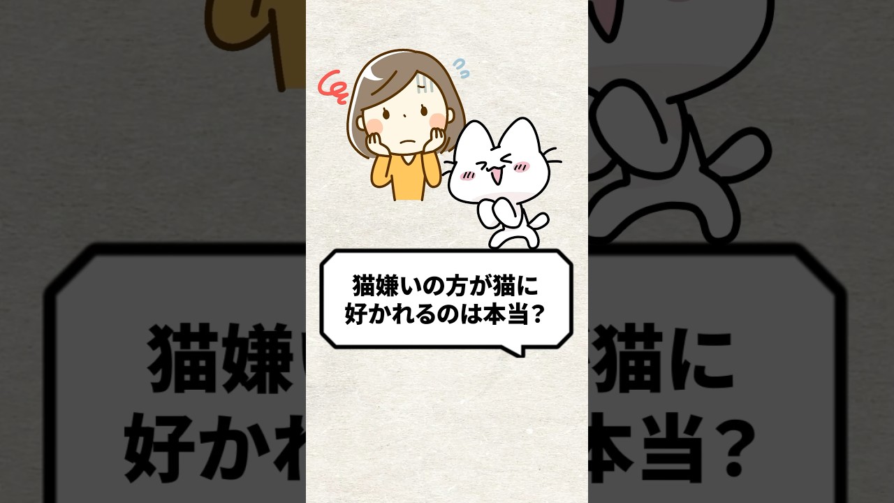 Q：猫嫌いの方が猫に好かれるって本当？