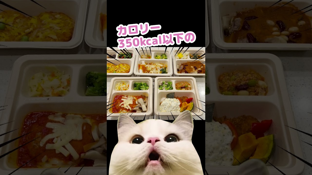 倒れた奥さんにめちゃめちゃ商品紹介してくれる猫 #Shorts【関西弁でしゃべる猫】