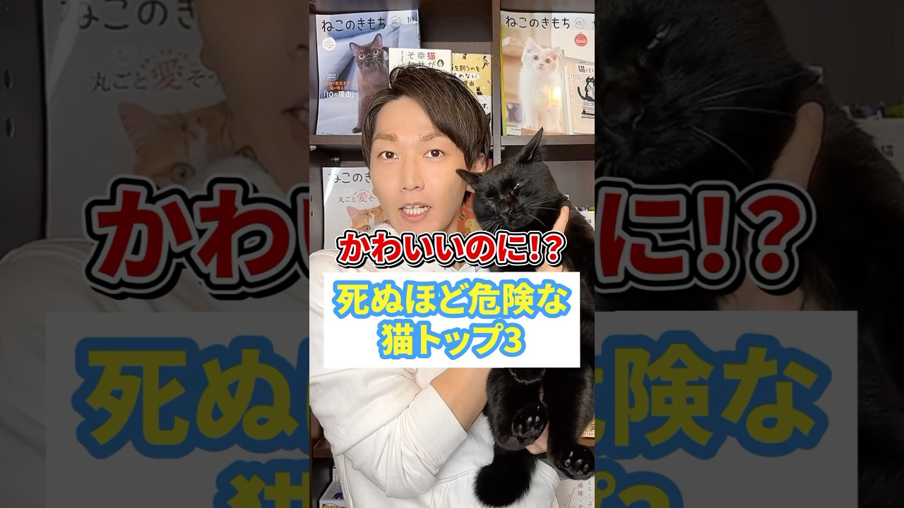 かわいいのに！？死ぬほど危険な猫トップ３