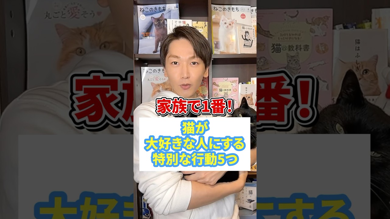 家族で一番！猫が大好きな人にする特別な行動５つ