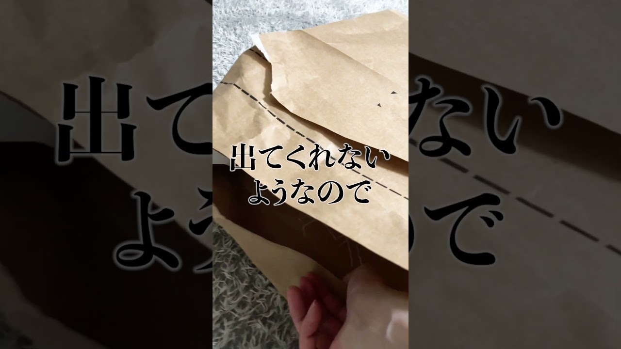 紙袋が大好きすぎて出て来なくなった子猫【スコティッシュフォールド】#shorts #かわいい #子猫
