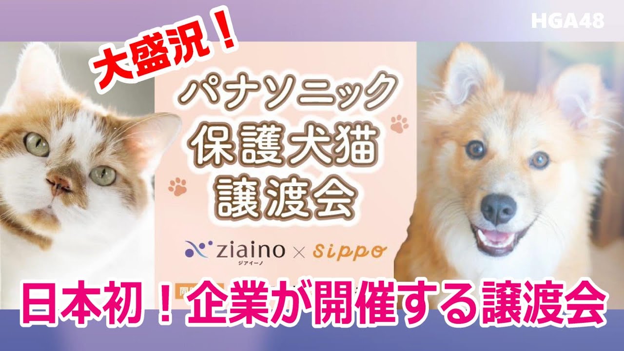 日本最大級！🐶パナソニック保護犬猫譲渡会🐱大手企業が開催する譲渡会は日本初！著名愛護家も応援に駆けつけた♪