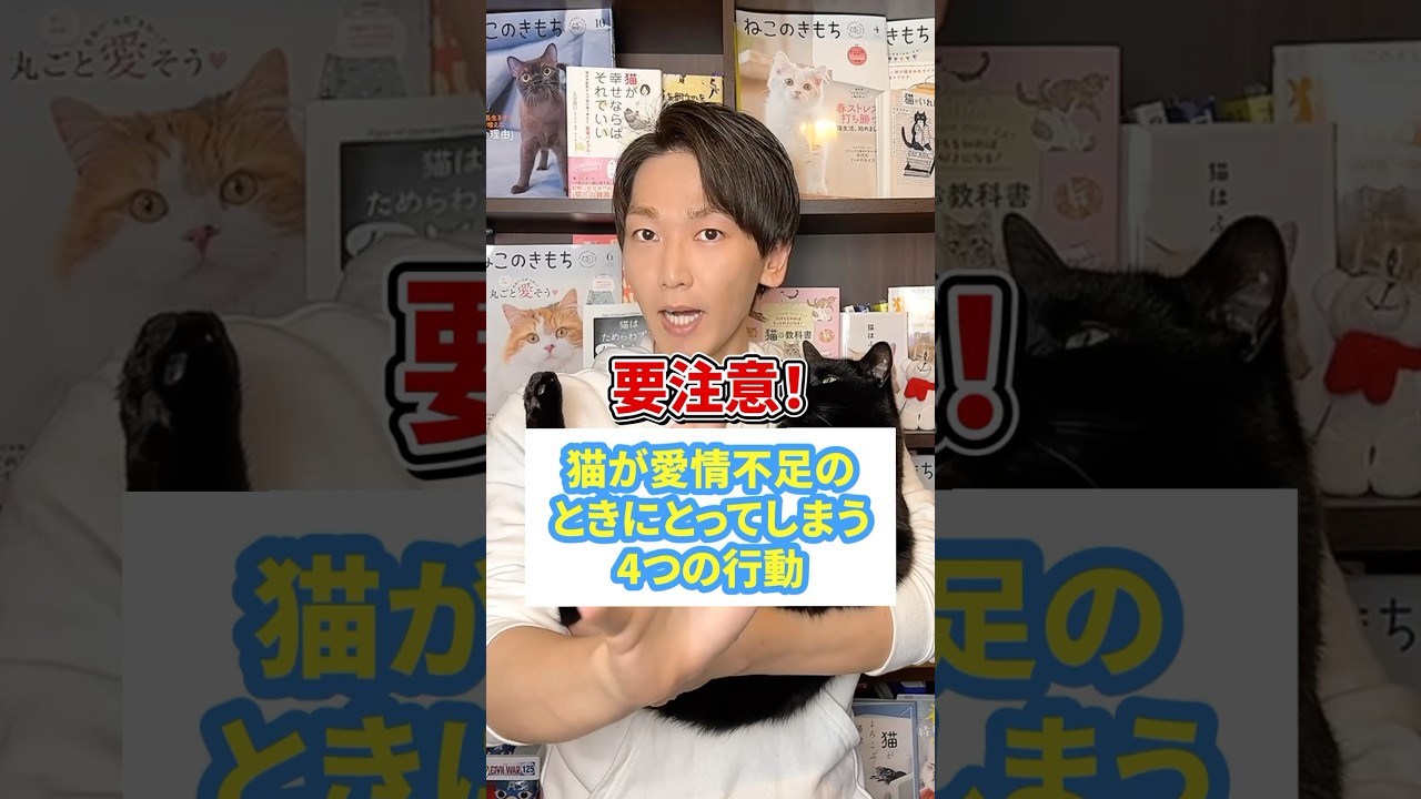 要注意！猫が愛情不足の時にとってしまう４つの行動
