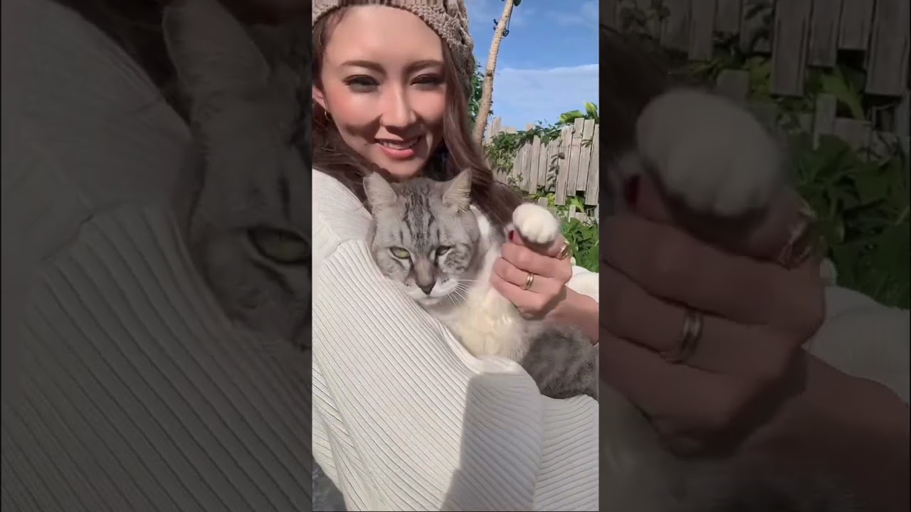 今日は日本の猫の日だそうです。 #ペットと泊まれる宿 #ペット同伴 #看板猫#さくらねこ　's