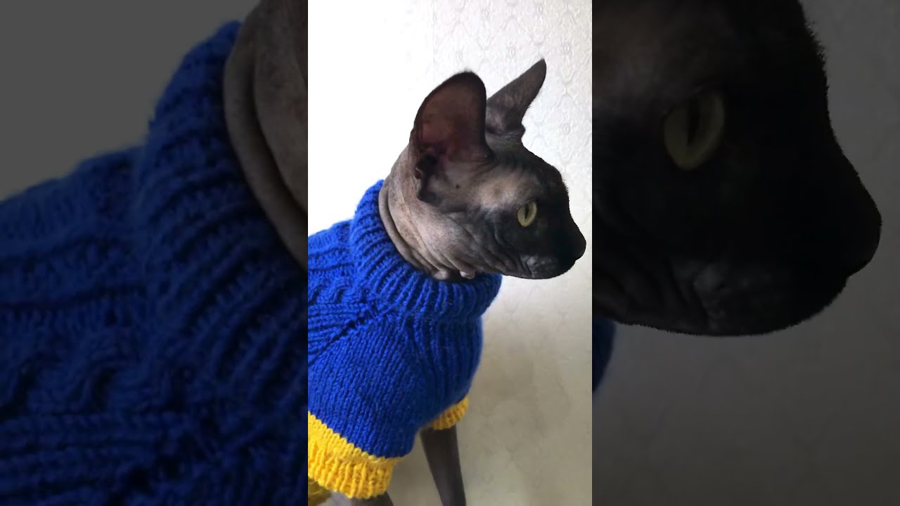Sphynx Sunny Cozy Jumper Size L knitting pattern PDF, Cat Soft Pullover With Arans #shorts
