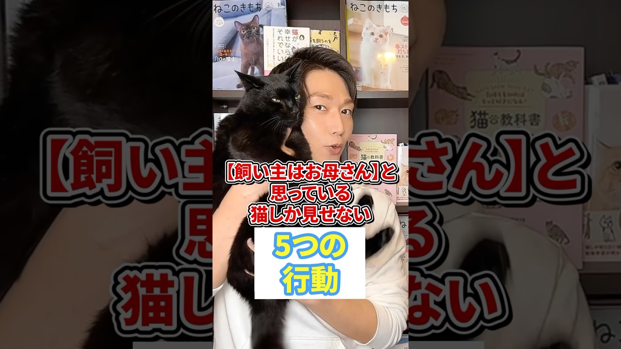 【飼い主はお母さん】と思ってる猫しか見せない５つの行動