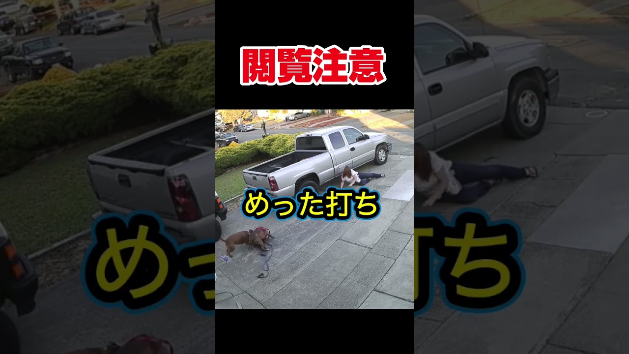 【閲覧注意】ピットブル2匹が大暴走。飼い主大パニック。