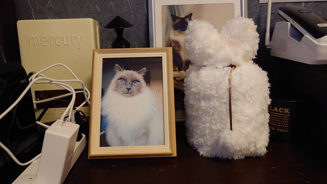 モフモフどでかバーマンのショパンくんが天国へ旅立ちました。