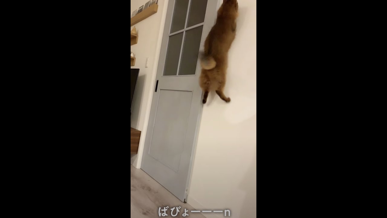 # 109　スーパージャンプ！！めんぼう最強説ソマリ編