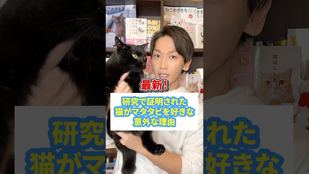 最新！研究で証明された　猫がマタタビを好きな意外な理由